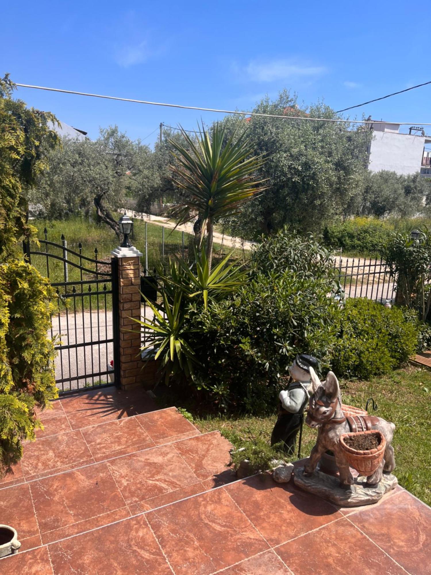 Alrose Limenaria (Thasos) Exterior foto